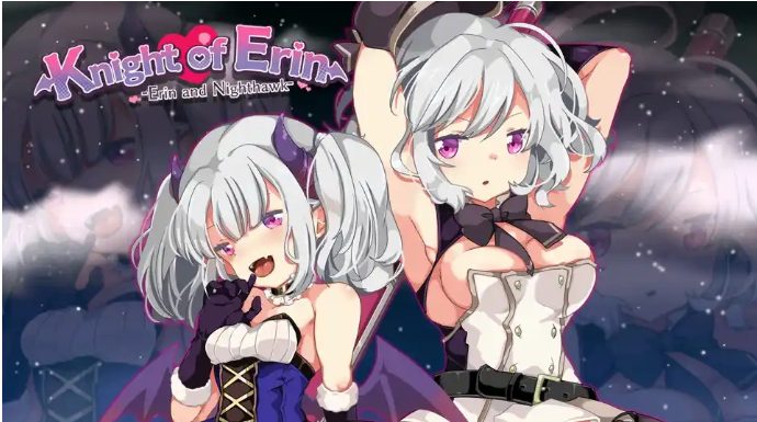 【PC/汉化版/RPG】女骑士艾琳(Nighthawkand Erin)Ver1.06 精翻汉化版+RPG游戏+500M+补-中文绅士游戏下载,黄游,色情手机游戏,绅士漫画,里番