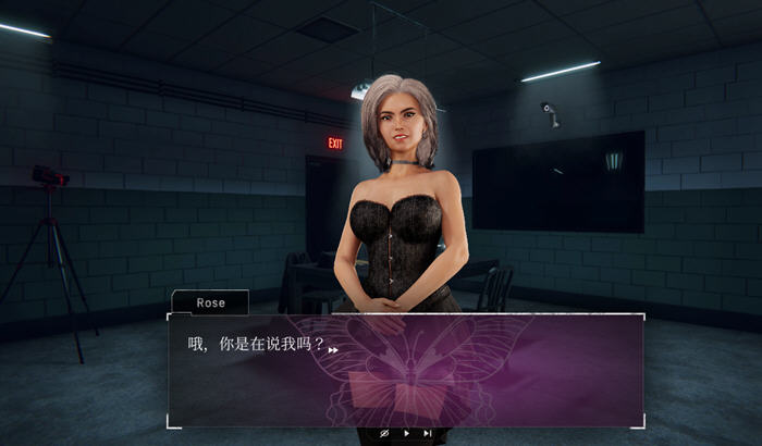 混乱警局 STEAM官方中文不冰版 互动SLG游戏 2.9G