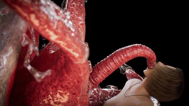图片[1]-NullStudio大师：捕获吉尔+全系列异种合集1080HD版_long_deepthroat tentacle_v001.mp4 - 在线ACG，视频动画，漫画，动漫，绅士游戏，3D漫画，福利图片-在线ACG，视频动画，漫画，动漫，绅士游戏，3D漫画，福利图片