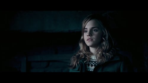 harry potter family quiz