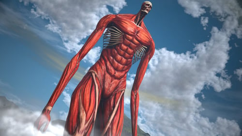 what attack on titan character are you