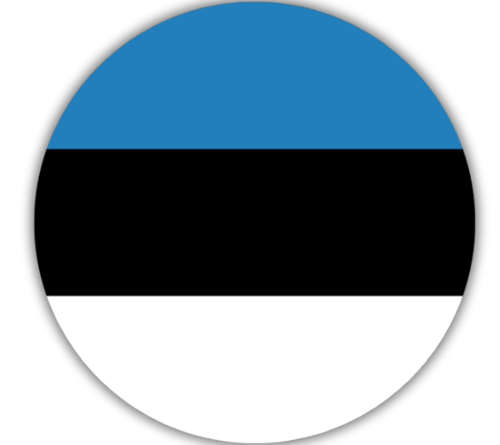 TikTok Estonia Services