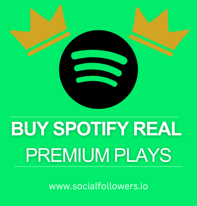 Buy Spotify Premium Plays