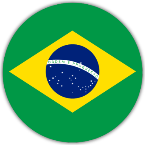 TikTok Brazil Services