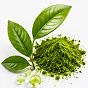Green Tea Extract (EGCG)