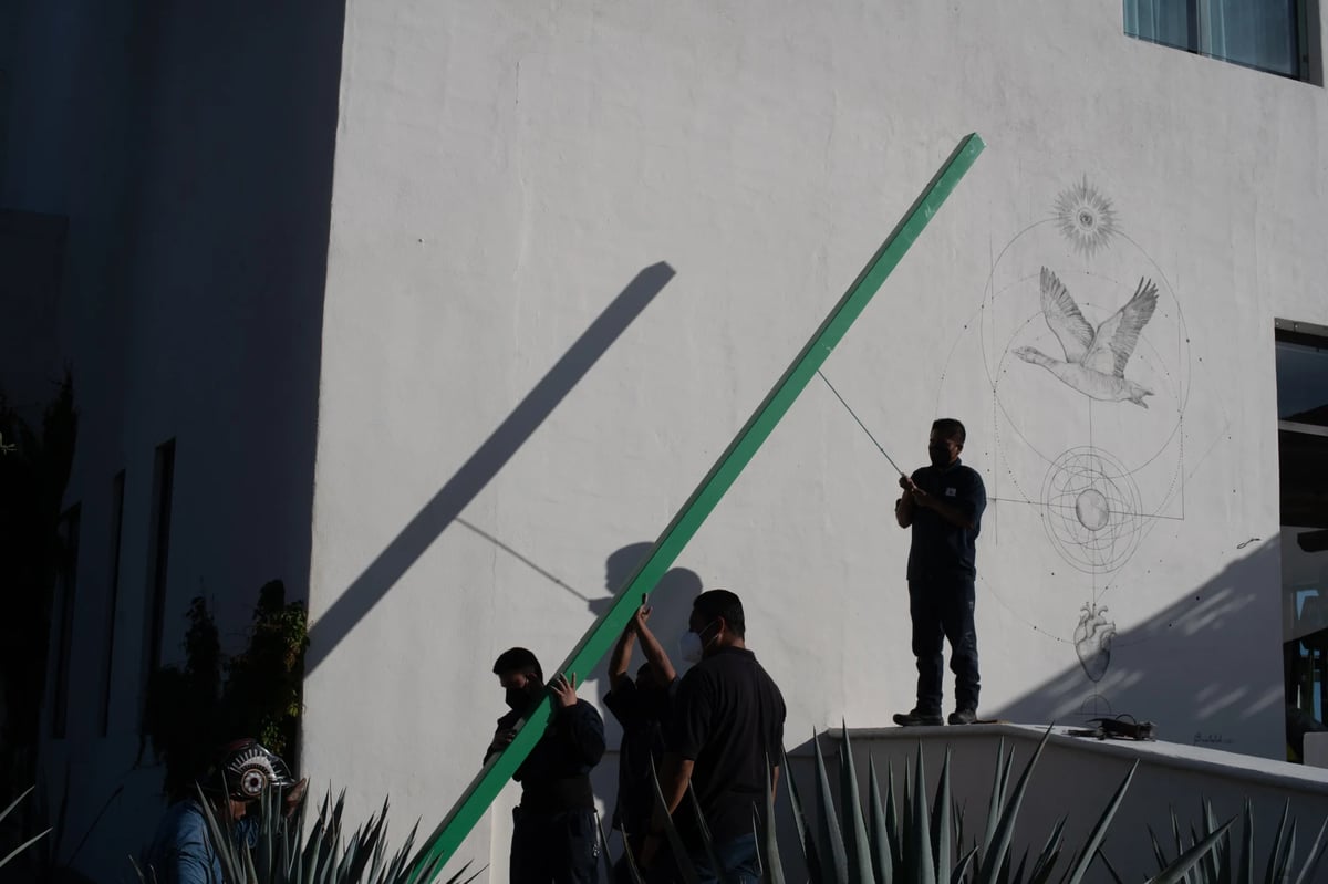Líneas para observar II