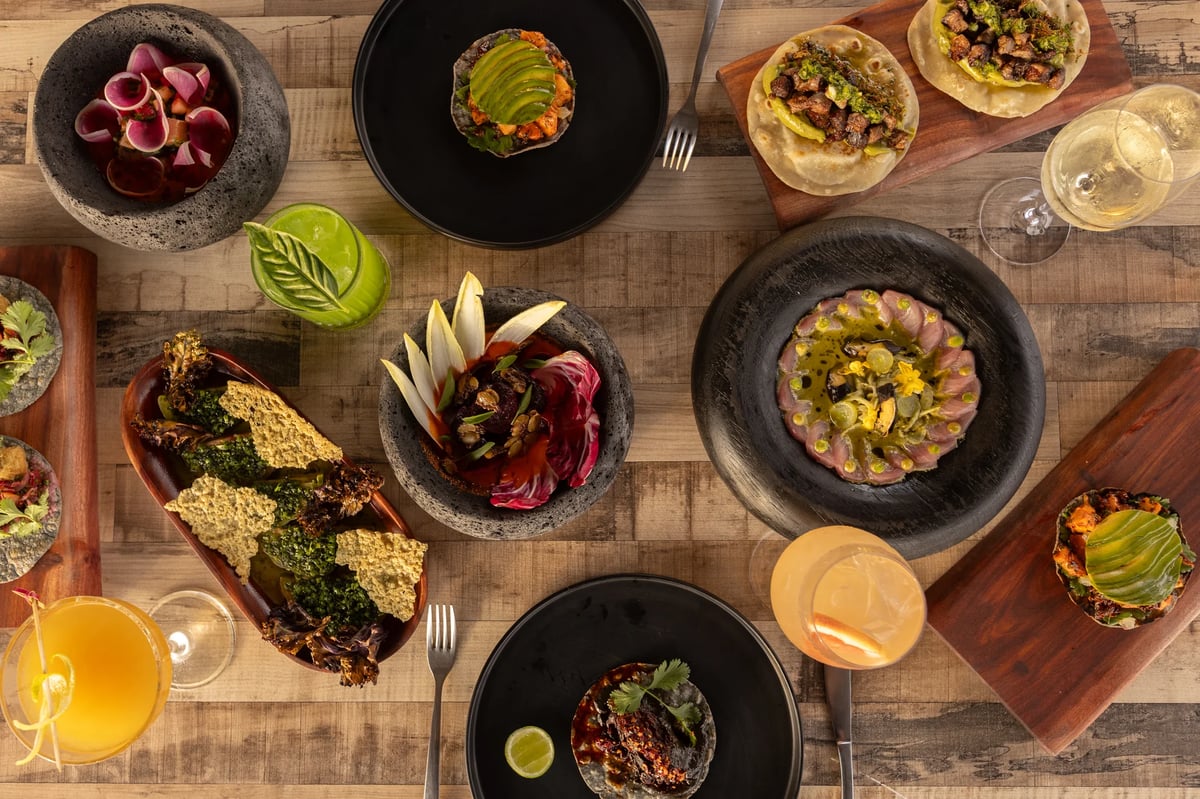 https://imagedelivery.net/jHDmI3UpXy0vHMoFeeZZfg/elganzo-amenity-food-drink-rooftop-restaurant-bar-03032025-psnc9014/