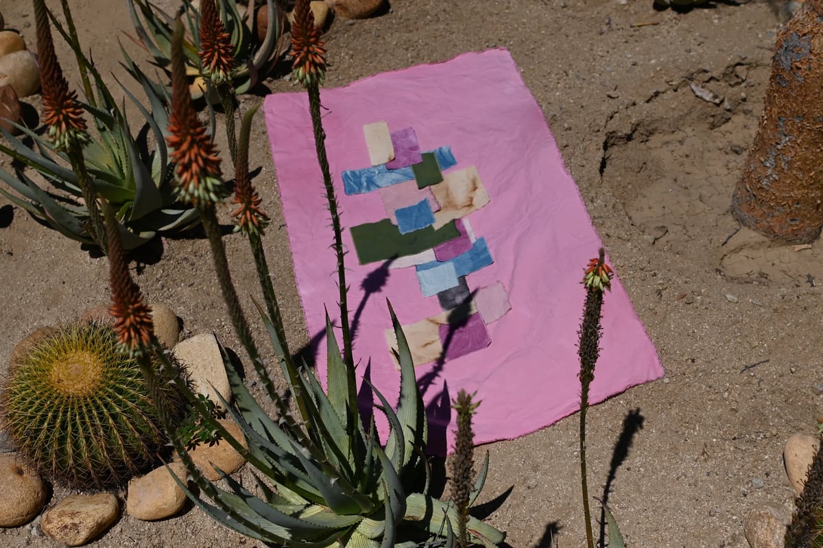 Remolacha de Baja California