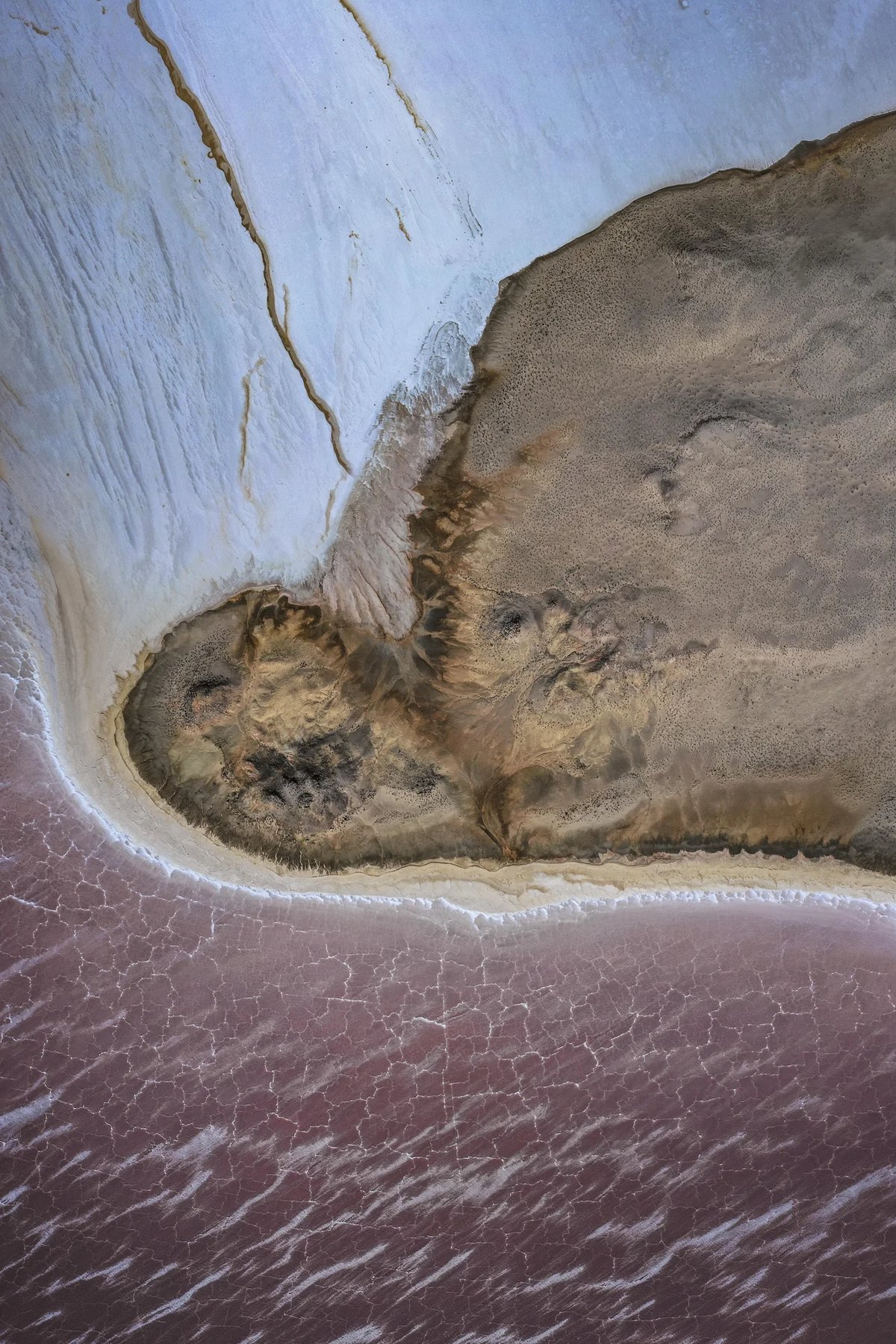 RESERVA DE LA BIÓSFERA DEL VIZCAÍNO