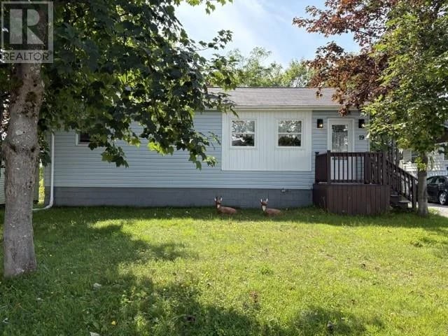 19 Atlantic Avenue, Stephenville, Newfoundland & Labrador, A2N2G1, Stephenville, Newfoundland & Labrador — photo 1 of 5