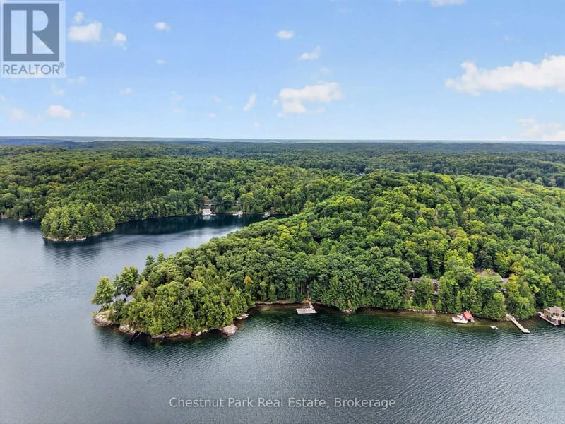 1119 - 28 Skeleton Lake 2 Rd Road, Muskoka Lakes (Watt), Ontario, P0B1M0, Muskoka Lakes (Watt), Ontario — photo 1 of 5