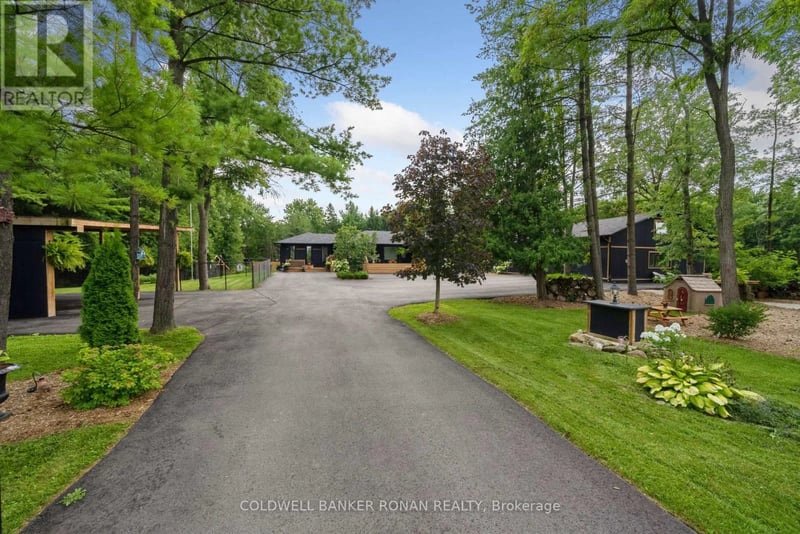 6591 6th Line, New Tecumseth, Ontario, L0G1W0, New Tecumseth, Ontario — photo 1 of 5