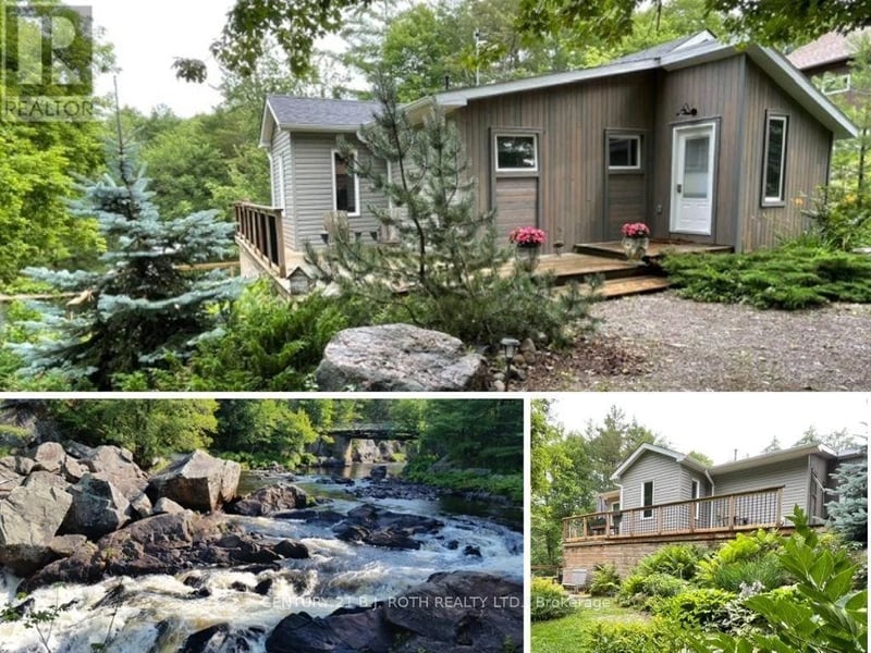 8101 Kings River Road, Ramara, Ontario, L0K2B0, Ramara, Ontario — photo 1 of 5