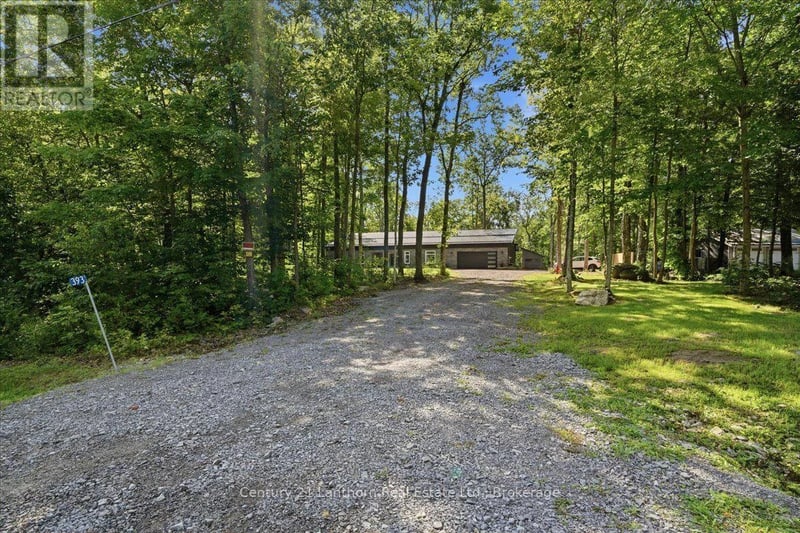 393 Wood Road, Centre Hastings, Ontario, K0K2K0, Centre Hastings, Ontario — photo 1 of 5