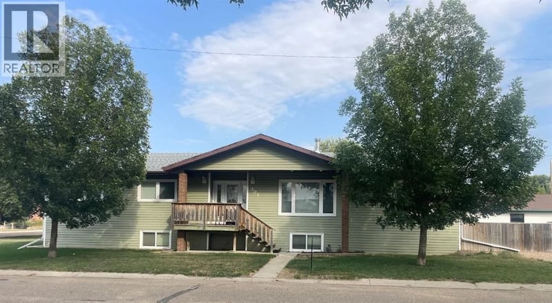 301 4 Avenue, Bassano, Alberta, T0J0B0, Bassano, Alberta — photo 1 of 5