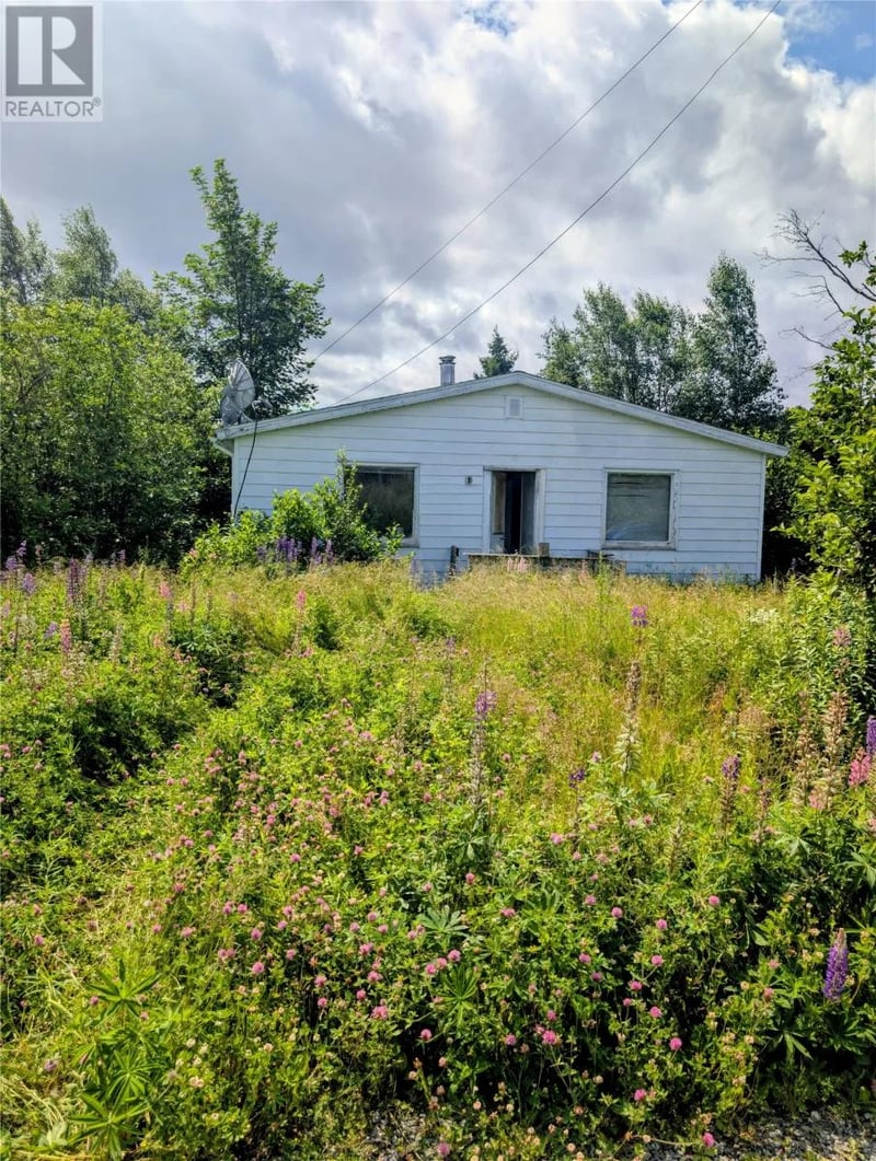 29 Hillcrest Road, Hare Bay, Newfoundland & Labrador, A0G2P0, Hare Bay, Newfoundland & Labrador — photo 1 of 5