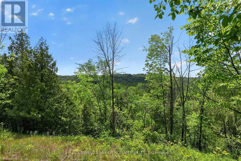 2946 Concession Rd 3, Adjala-Tosorontio, Ontario, L0G1L0, Adjala-Tosorontio, Ontario — photo 1 of 5
