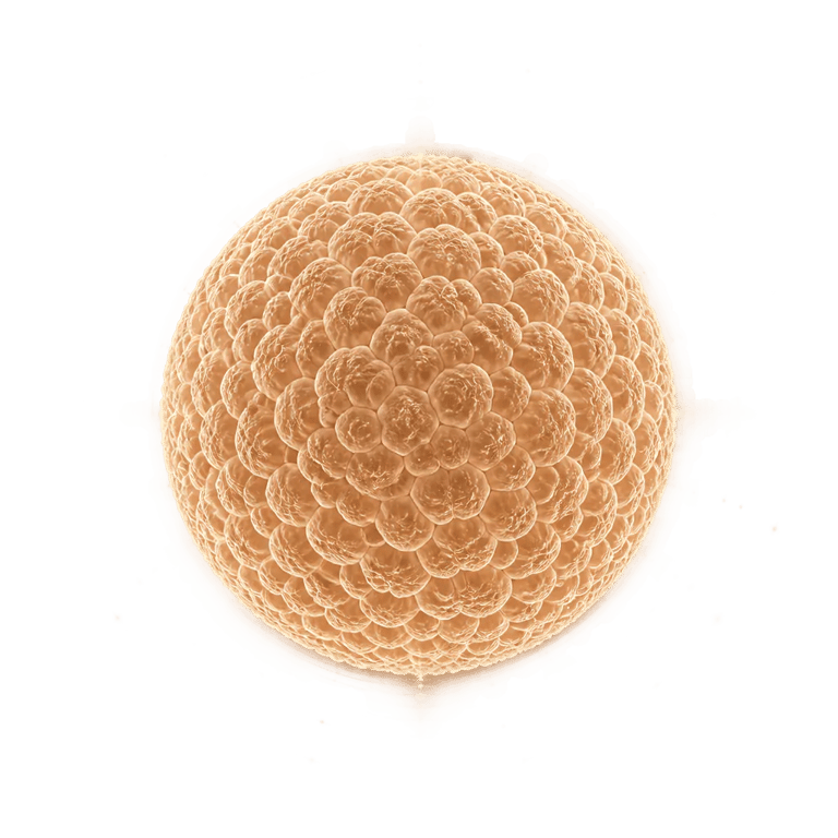 Macro sphere of peptide molecules