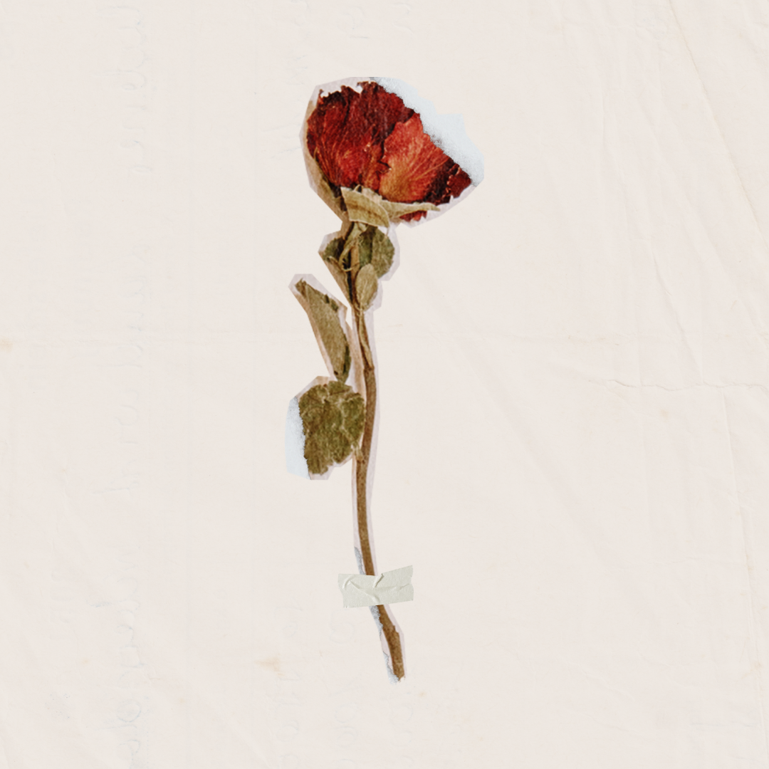 matchbox event cover image