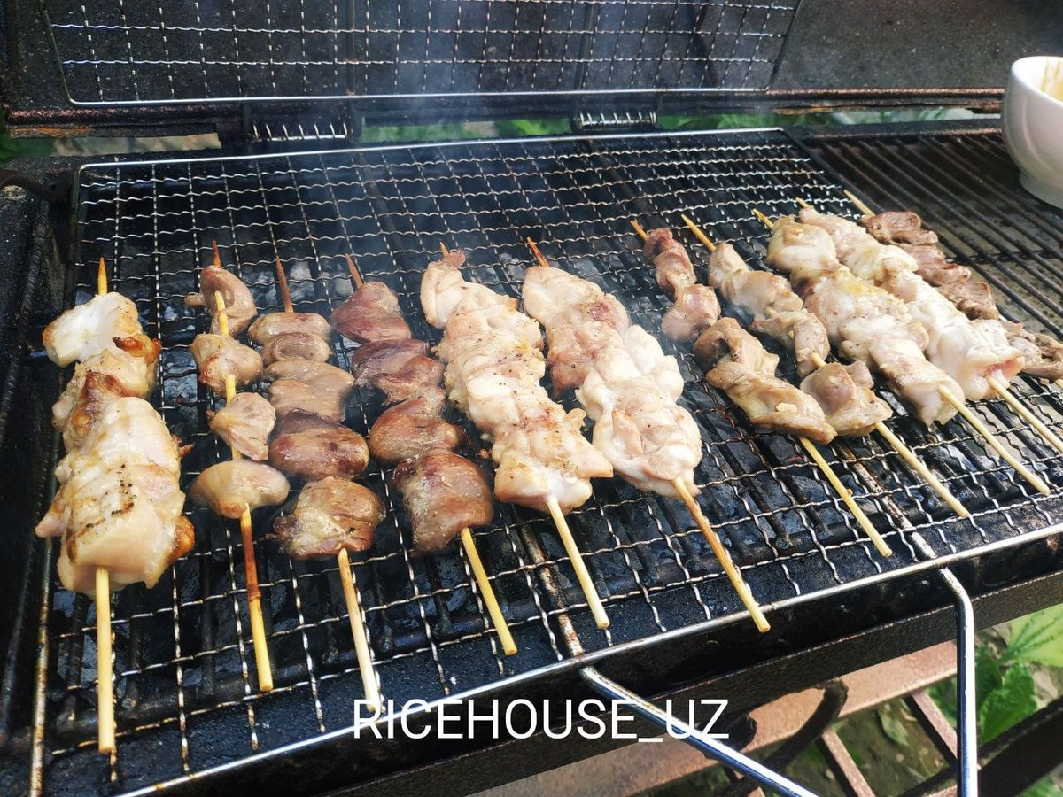 first grill-2