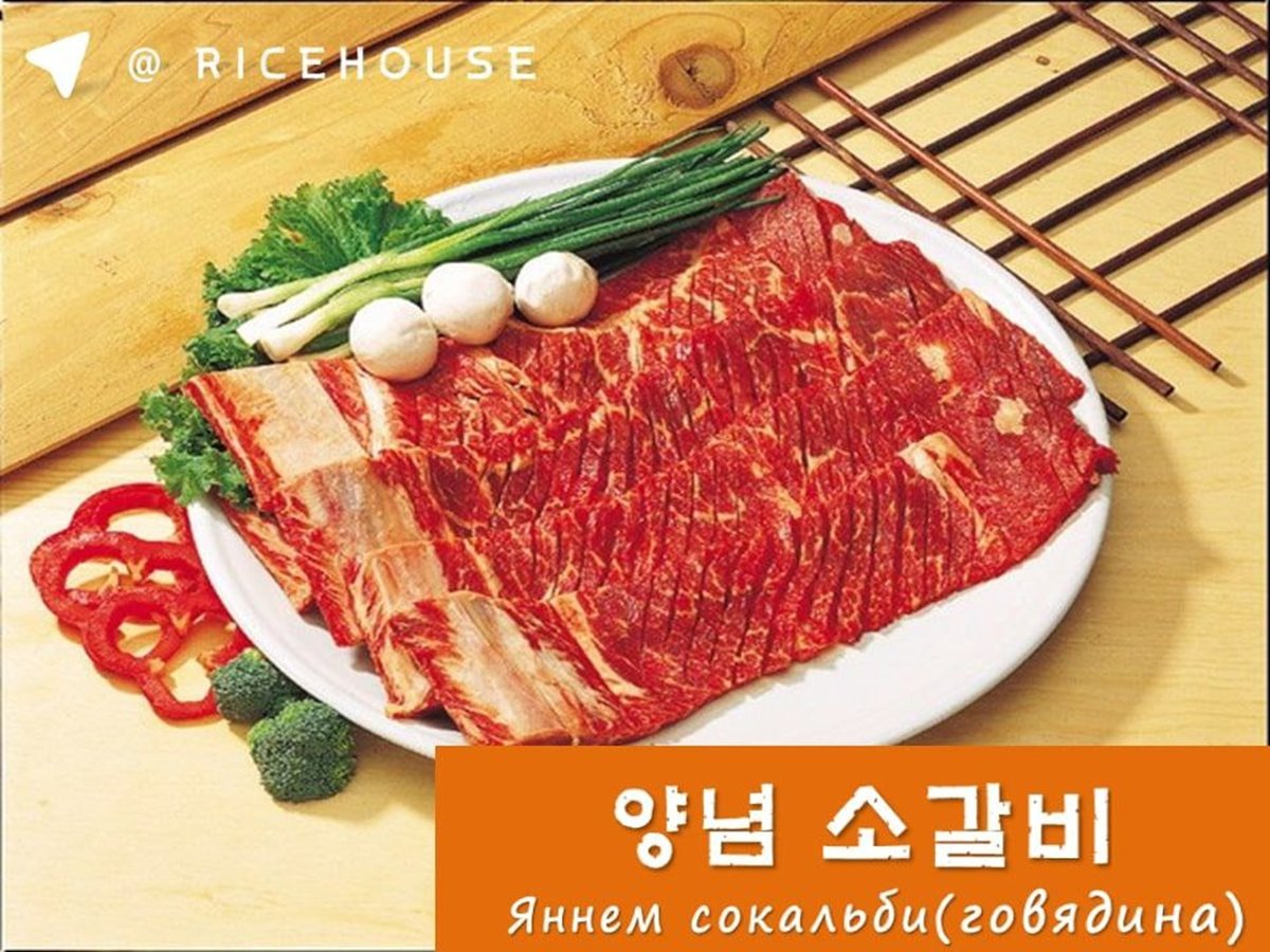 yanem sokalbi