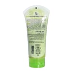 واي سي مقشر الوجه بخلاصة الافوكادو 175مل YC Whitening Facial Scrub Avocado