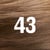 بني ذهبي متوسط 43