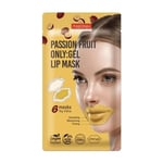 بيورديرم قناع جل فلر الشفايف الطبيعي بالفواكة الاستوائية 6 اقنعة PUREDERM Passion Fruit ONLY Gel Lip Mask