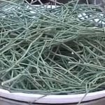 عشبة العلندة 100جرام