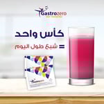 جاسترو زيرو Gastrozero