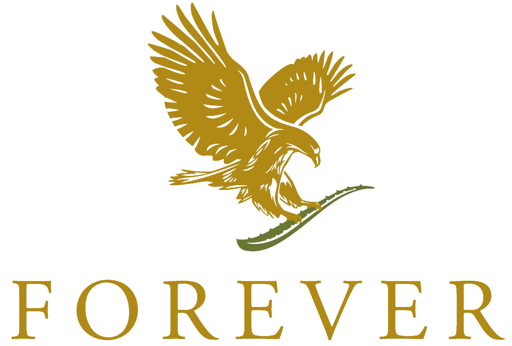 Forever | فورايفر