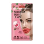 بيورديرم قناع جل فلر الشفايف الطبيعي بالبطيخ 6 اقنعة PUREDERM Watermelon ONLY Gel Lip Mask