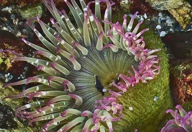 24b0d121e09c28a8699fe8b115ef046f5a489b9fa1