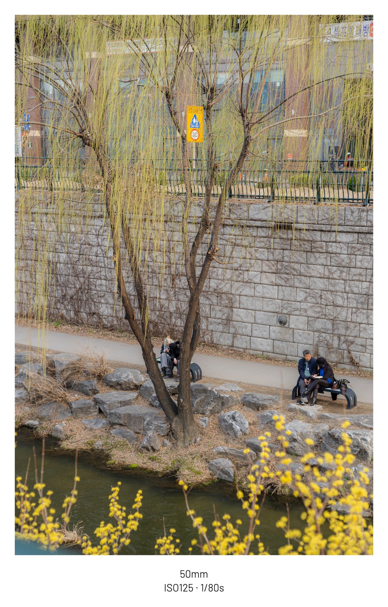 01ec8076b5846cf320b5c6b011f11a394a2c77509c8c79808bbb