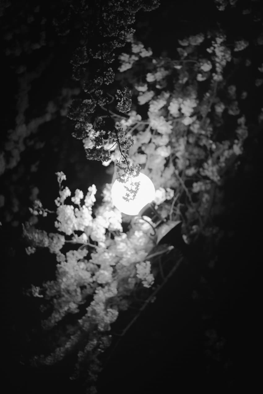 7dea8103b5f76efe23ef8391309c701b7b8b82011b60559a9449265928e2a59e85fb0a1c2ea7816dd39ed272f35e7b35c733858746