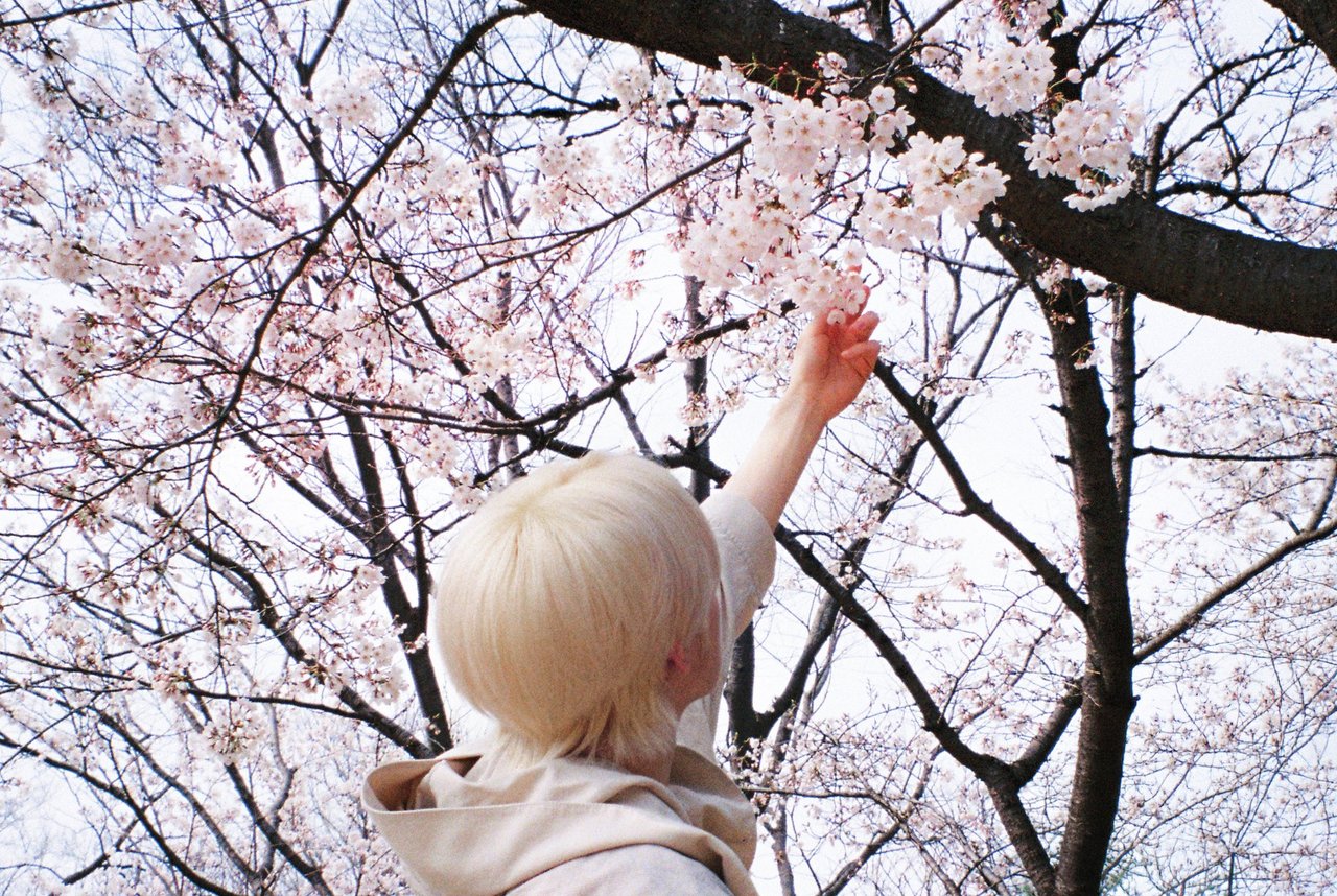 [잡담] 위시 지금 정규 프로모 돌리는거 에바(p) | 인스티즈