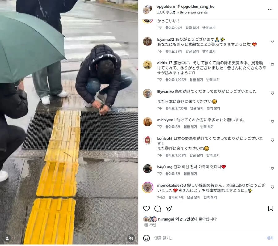 클릭하시면 원본 이미지를 보실 수 있습니다.