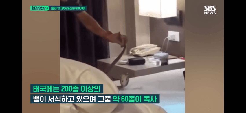 79e88874c6861ef523eaf0e14f9c70641feff89bcb87bf9acce603352082fab7d30f4ada40fe7925a8ce5b9c8d0643e1012b97