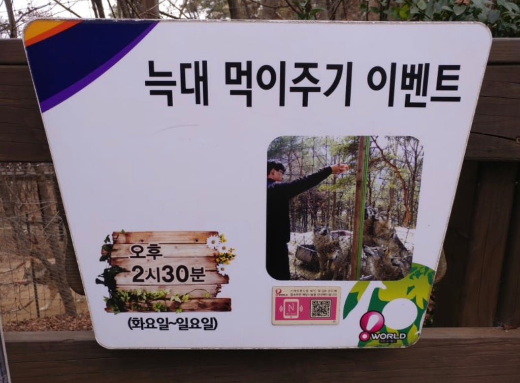 대전 오월드 늑대들 평소 모습 | 인스티즈