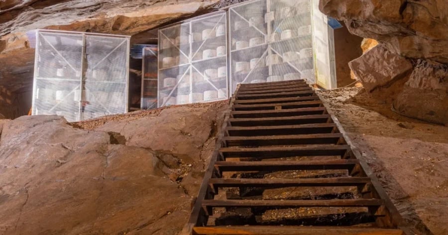 미국 비만율 급상승에 일조한 정부 배급 식재료 레전드_5.webp