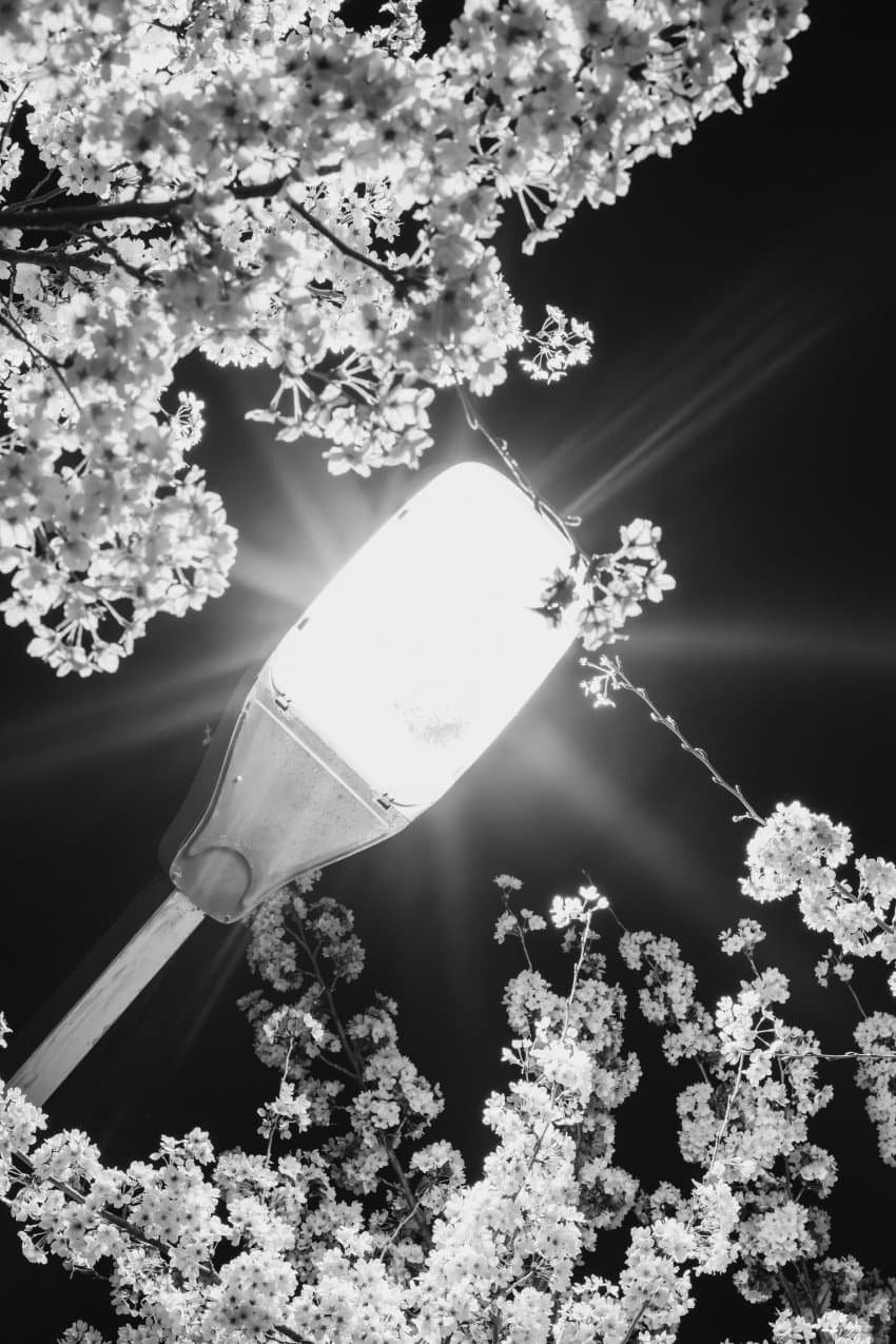 7fef8500b1f41df223ea8fe0459c706597dee563b59caafa38005b02639e49bbd4489323e2421bc363bf02f4aa4db8b0b5d36492c8