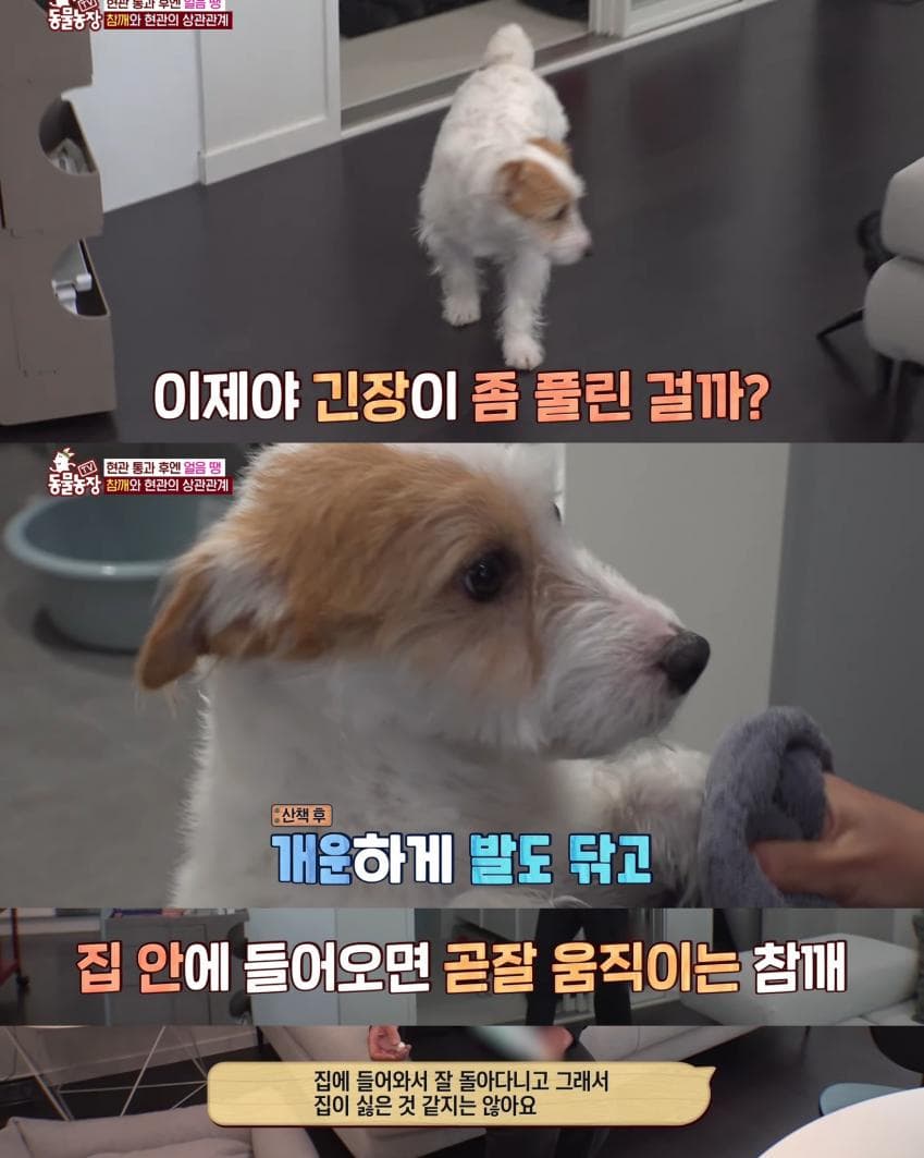 79f3da36e2f206a26d81f6e643897465f2