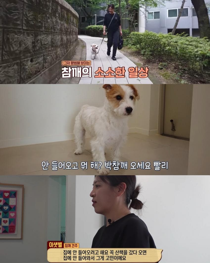 7beb8072b0836ff037808fe346807665eefeea4eec94be90fb037c61d4b5d84bc607e551850666a78a650c8b99364fe754f1e7bb3586abbee6a8fbe48a5814