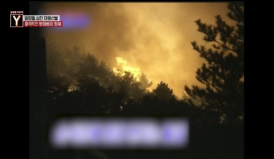 이번에 불다람쥐가 새롭게 불태운 우리 산간 면적 | 인스티즈