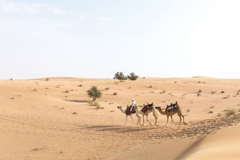 7cec8268efc23f8650bbd58b3687756d4ed7