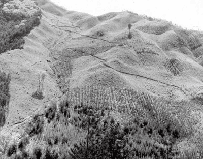 24b0d121e09c28a8699fe8b115ef046c66f52b4e9c