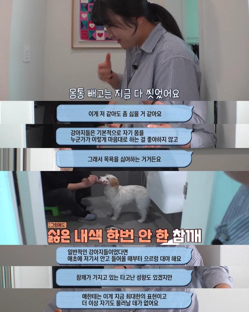 7ce89e2cf5d518986abce8954285716527ae