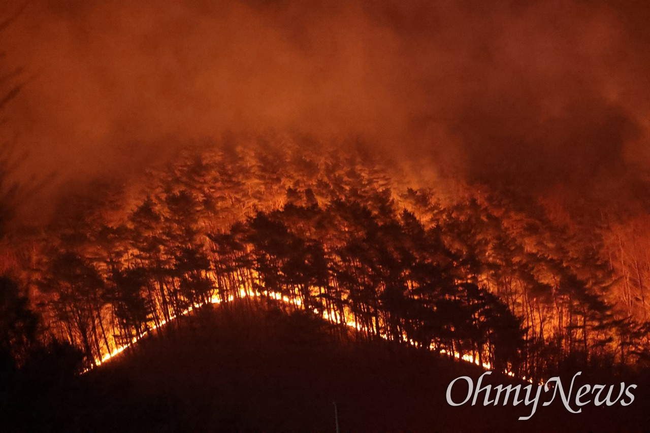 이번에 불다람쥐가 새롭게 불태운 우리 산간 면적 | 인스티즈