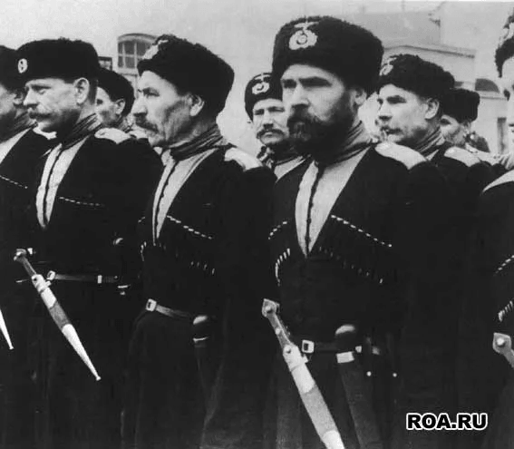 24b0d121e09c28a8699fe8b115ef046f5e4b9896ad