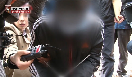 이번에 불다람쥐가 새롭게 불태운 우리 산간 면적 | 인스티즈